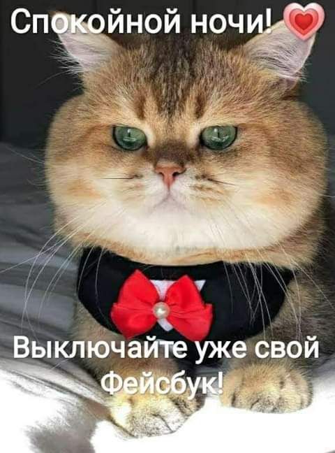 СПЁЙНОЙ нечё Выключайте уже свой