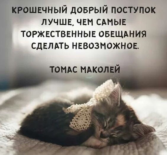 КРОШЕЧНЫЙ доврый поступок лучшв чвм сдмыв торжвстввнныв оввщьния сдвлдть навозиожнов ТОМАС МАКОЛ