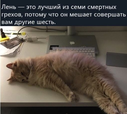 Лень ЭТО ЛУЧШИЙ ИЗ семи СМерТНЫХ Грехов ПОТОМУ ЧТО ОН мешает совершать вам другие шесть