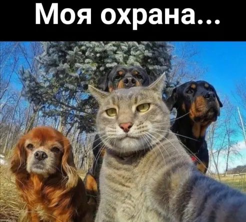 Моя охрана