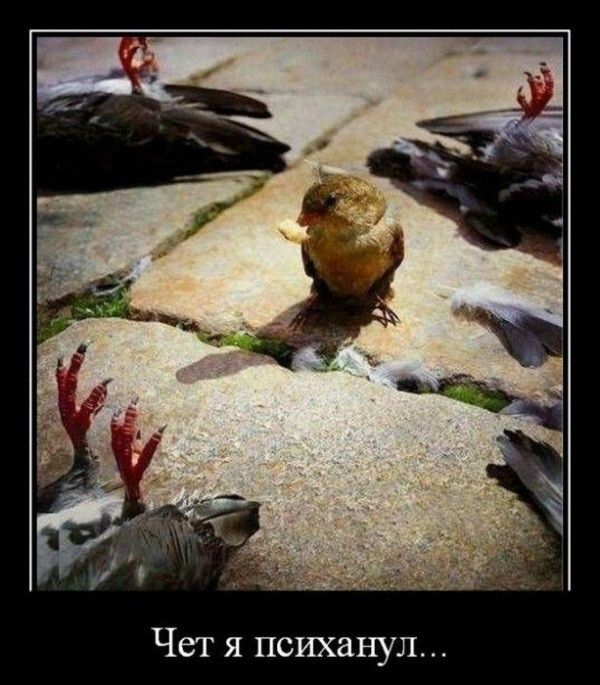 Чет я психанул
