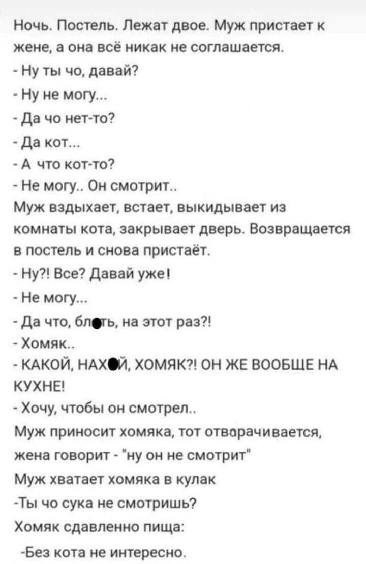 Ночь Постель Лежат двое Муж пристает к жене а она всё никак не соглашается Ну ты чо давай Ну не могу Да чо нетто да кот А что кот то Не могу Он смотрит Муж вздыхает встает выкидывает из комнаты кота закрывает дверь Возвращается в постель и снова пристаёт Ну Все Давай уже Не могу да что бпгь на этот раз Хомяк КАКОЙ НАХЙ ХОМЯК ОН ЖЕ ВООБЩЕ НА КУХНЕ Хочу чтобы он смотрел Муж приносит хомяка тот отвор