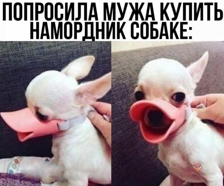 В Т Е УК кы А О же дцп