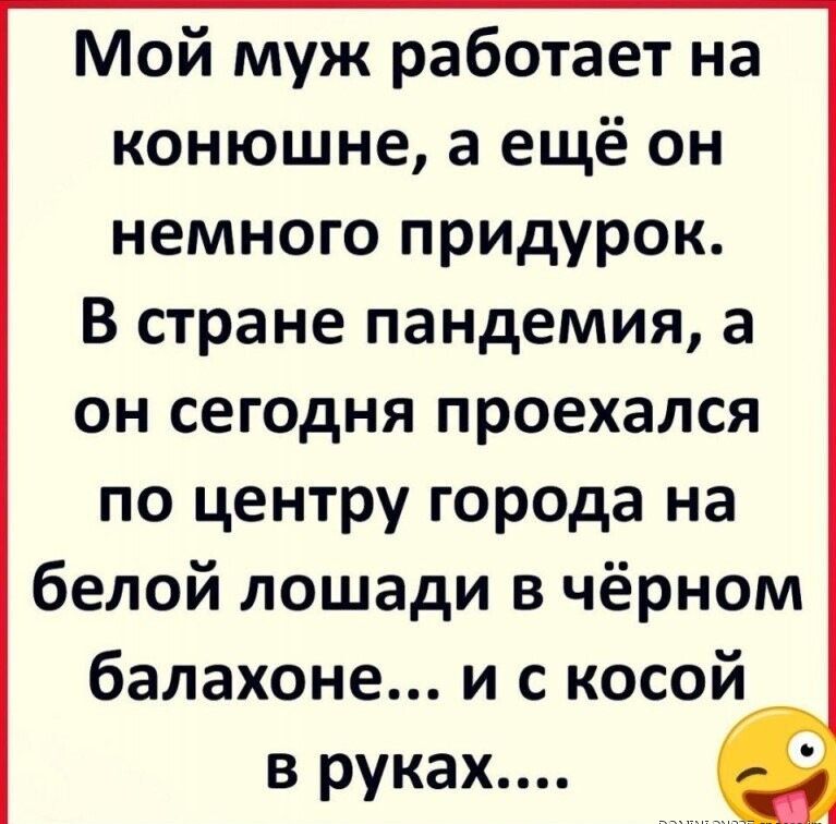 Мой муж работает на конюшне а ещё он немного придурок В стране пандемия а он сегодня проехался по центру города на белой лошади в чёрном балахоне и с косой в руках