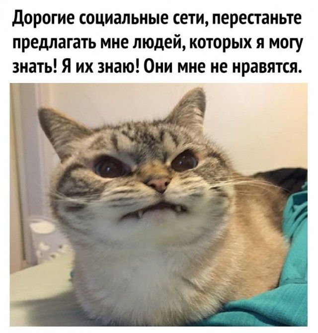 Дорогие социальные сети перестаньте предлагать мне людей которых я могу знать Я их знаю Они мне не нравятся