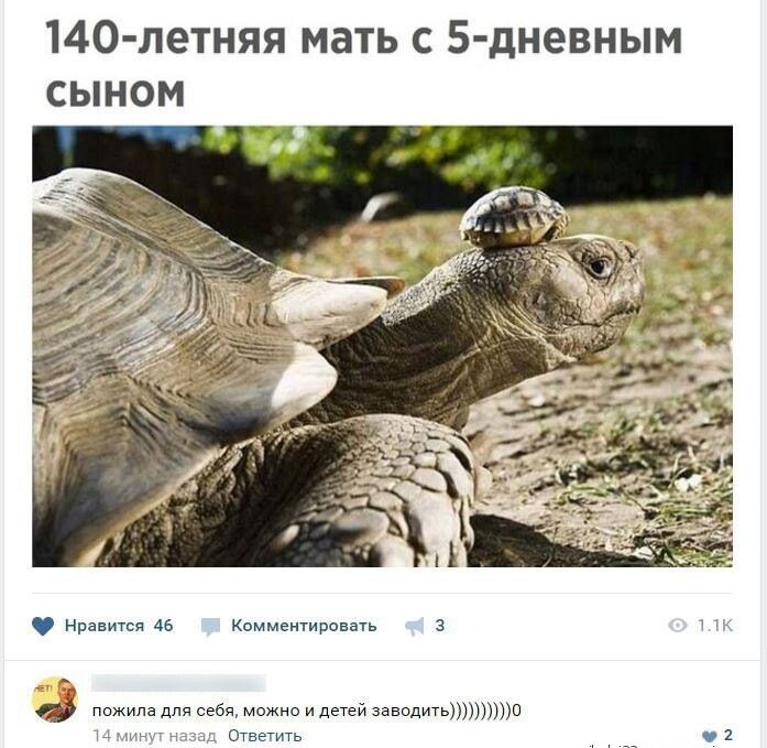 140 летняя мать с 5 дневным сыном Нравится 45 Комментировать 3 т 11 93 пожила для себя можно и детей заводить0 и Ответить с 2