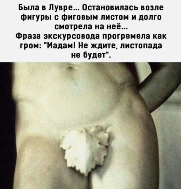 Была в Лувре Остановипась возле фигуры с фиговым листом и долго смотрела на неё Фраза экскурсовода прогремела как гром Мадамі Не ждите листопада не будет