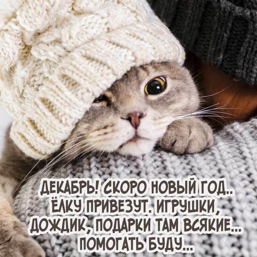 55 м _ двидвгыского _нбвый го 9 пгиввзчт игвцщйи _ дождик ПОДАРКИ т_Ам всяки е_ тпомогАтьвчдч 1 13 тч 11 4