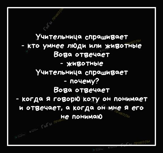 Учительница спришизоет кто умнее лЮди или животные Вова отзечает животные Учительница спрашивает почему Вова отзечает когда я говорю коту он понимает И ОТВеЧОеТ когда он мне я его не понимию