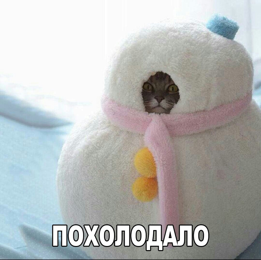 ПОХОЛОДАЛО