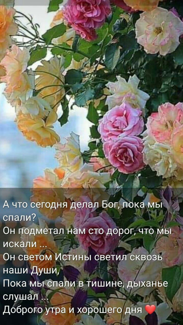Он подметал НЭ с_то дорог что мы искали Он светом ИсТины светил сквоЗЬ наши Души Пока мыгёпали в тишине дЪГханье слушал мы Доброго утра и хорошего дц