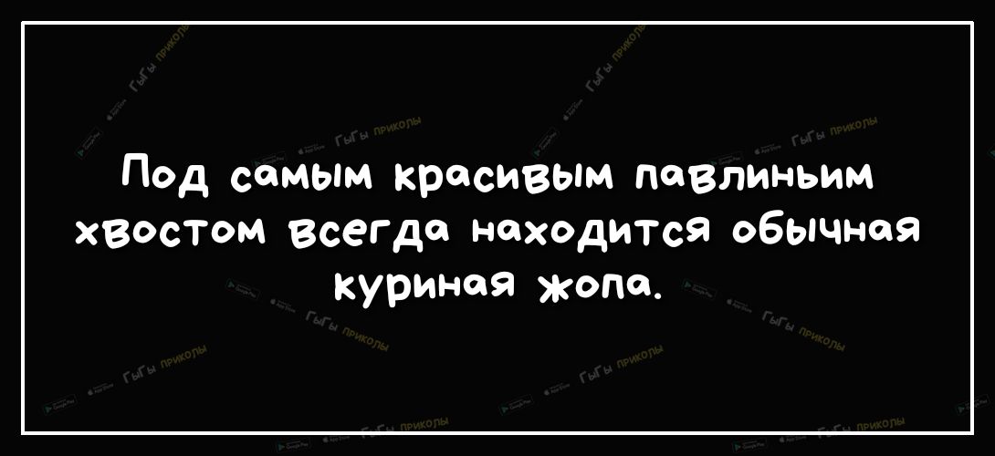 Под самым красивым повлиньим хвостом Всегда находится обычная куриная жопе