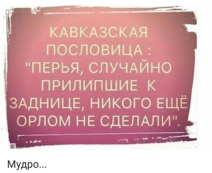 КАВКАЗСКАЯ ПОСПОВИЦА ПЕРЬЯСПУЧАЙНО ПРИПИПШИЕ к ТАДНИЦЕ НИКОГО ЕЩЁ ЭРПОМ НЕ СДЕЛАЛИ
