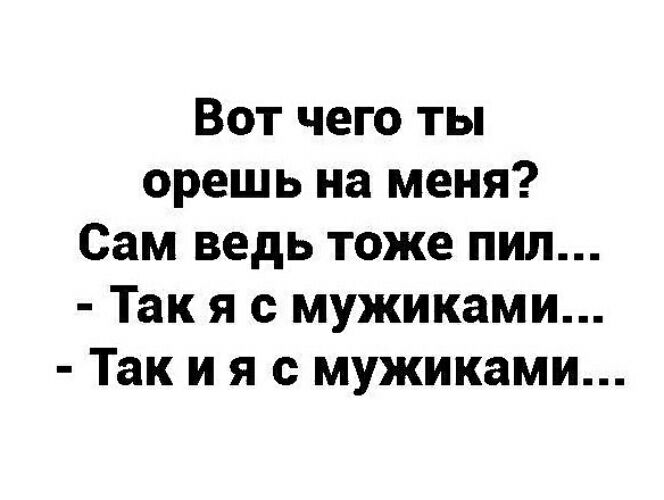 Вот чего ты орешь на меня Сам ведь тоже пил Так я с мужиками Так и я с мужиками