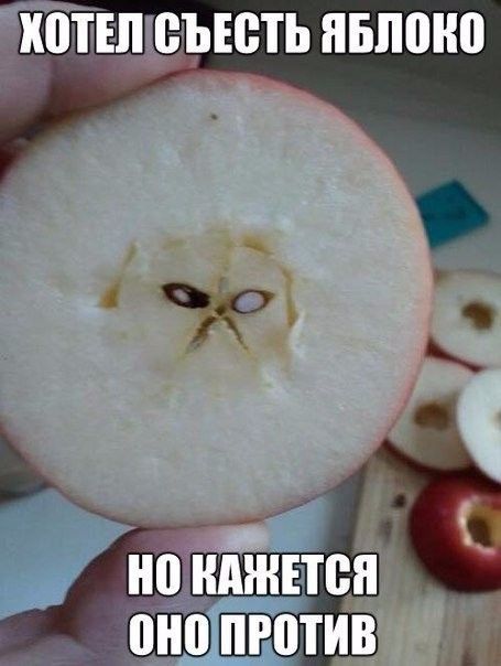 иотщцзысть ПБПШЮ