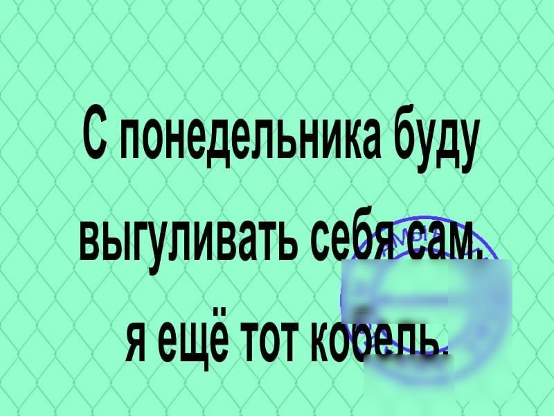 С понедельника буду выгуливать я ещё тот кббедь