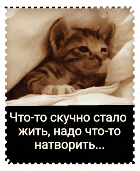 ЧТО ТО СКУЧНО стало ЖИТЬ надо ЧТО ТО натворить