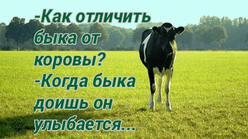 Как отличить тыщ ааі И