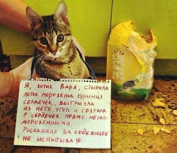 Я кати ВАМ мышм мп НБР015Н 97 А СЕРАяЁЧЕК Вы гры ААА из НЕГО уго въд д арду5 прям Аси ин 7 сны ь МБ 1 цъ