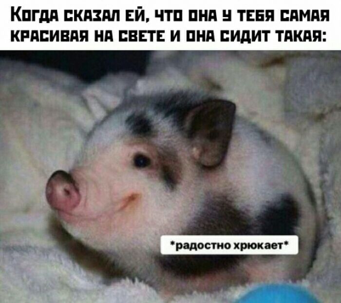 КПГдА СКАЗАЛ ЕЙ ЧТП ПНА ТЕБЯ САМАЯ КРАСИВАЯ НА СВЕТЕ И ПНА СИДИТ ТАКАЯ