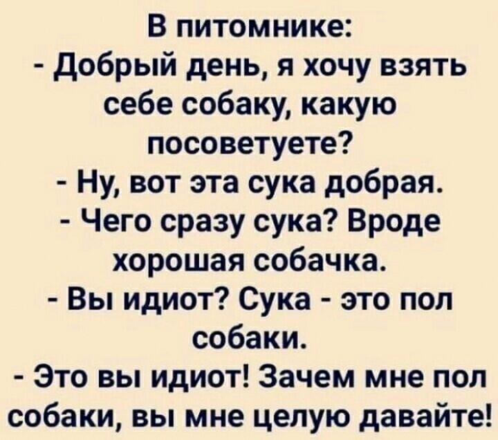 В питомнике Добрый день я хочу взять себе собаку какую посоветуете Ну вот эта сука добрая Чего сразу сука Вроде хорошая собачка Вы идиот Сука это пол собаки Это вы идиот Зачем мне пол собаки вы мне целую давайте