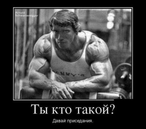 м _ Ты кто такой Давай приседания