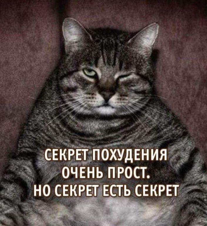С с дг т _ ЁЁЕКРЕТПОХУДЕНИЯ 9 ОЧЕНЬ РОСТ _чг но СЕКРЕТЕСТЬ секввт 35 153