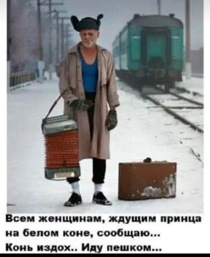 Ь Всем женщинам ищущим принца на белом коне сообщаю Конь вздох Иду пешком