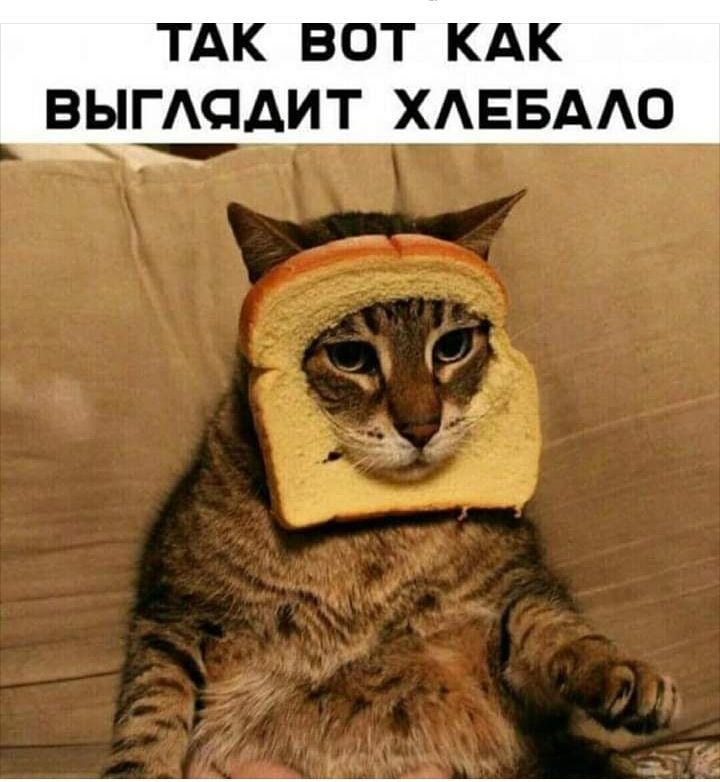 ТАК ВОТ КАК ВЫГАСіДИТ ХАЕБААО