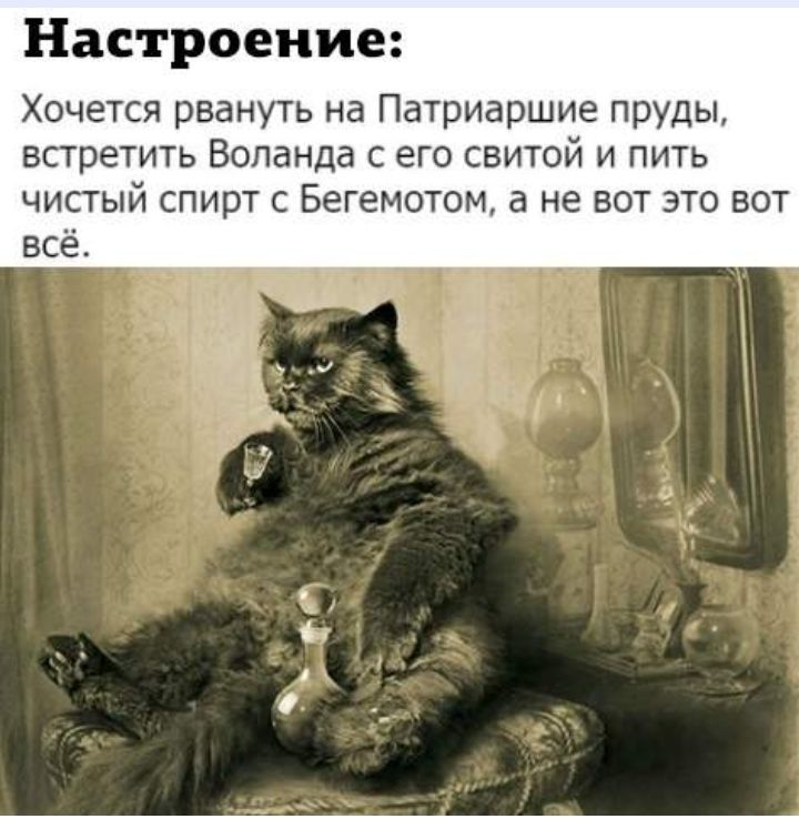Настроение Хочется рвануть на Патриаршие пруды встретить Воланда с его свитой и пить чистый спирт с Бегемотом а не вот это вот