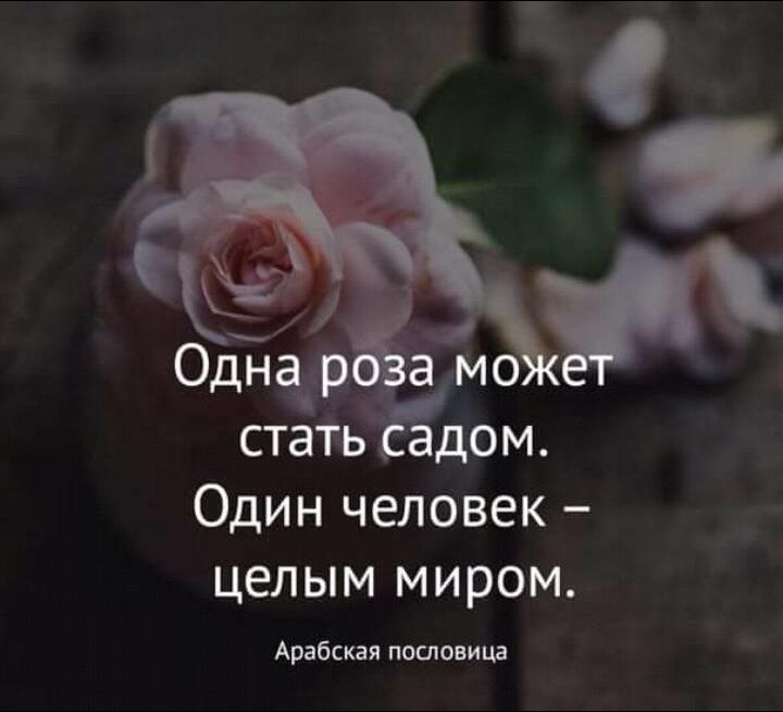 стат ь дом Один человек целым миром Арабская пословица