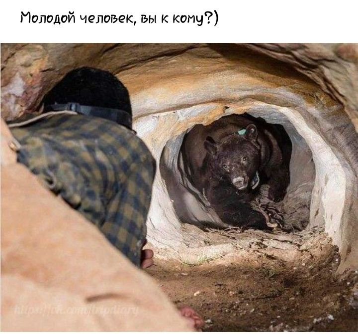 Молодой человек гьы кону
