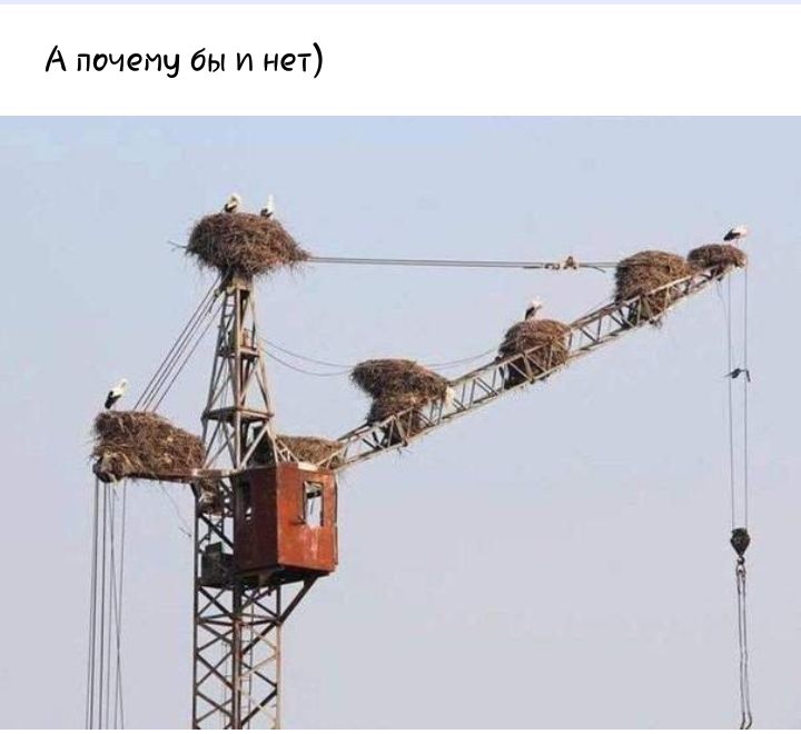 А почегщ бы и нет 7 А 3019141