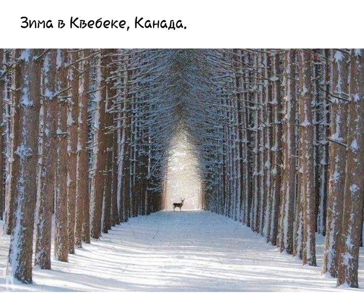 е_ д а н а К в к 9 6 в В К В Зима