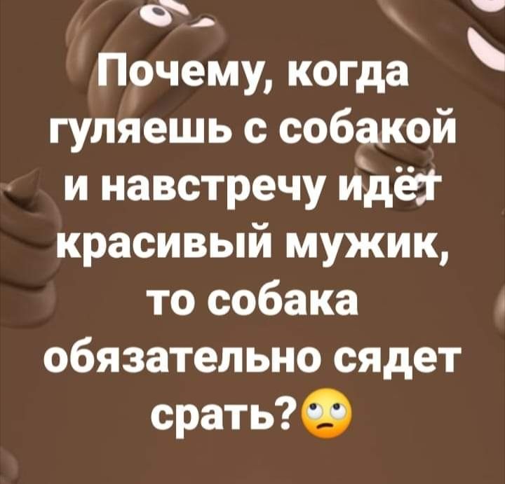 Ф Почему когда гуляешь с собакой и навстречу идеа красивый мужик то собака обязательно сядет сратьф