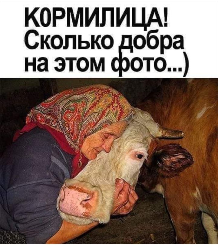 КОРМИЛИЦА Сколько обра Ёото НЗ ЭТОМ