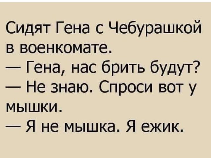 Сидят Гена с Чебурашкой в военкомате Гена нас брить будут Не знаю Спроси вот у мышки Я не мышка Я ежик