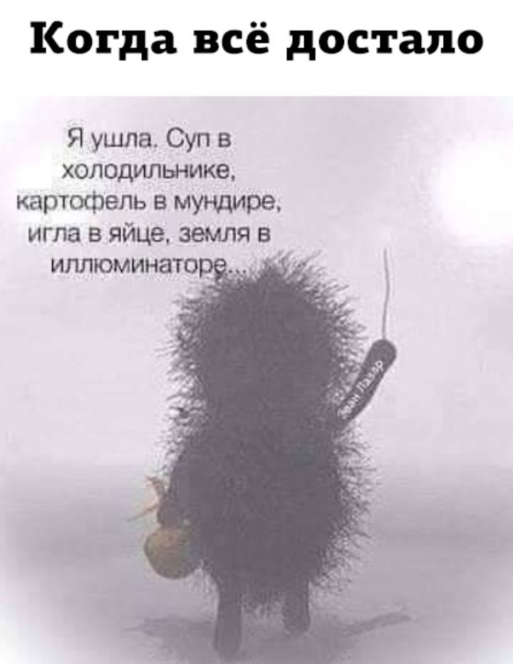 Когда всё достало Я ушла Суп в холодильнике картофель в мундире игла в яйце земля в иллюминатор _