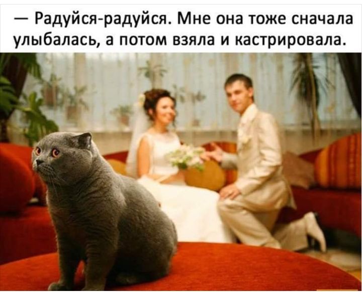 Радуйся радуйся Мне она тоже сначала улыбалась а потом взяла и кастрировала