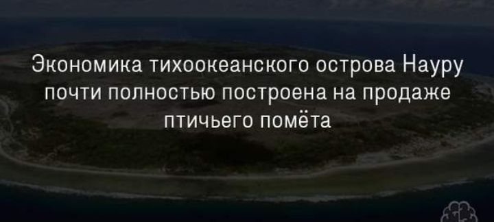 Экономика тихоокеанского острова Науру почти полностью построена на продаже птичьего помёта