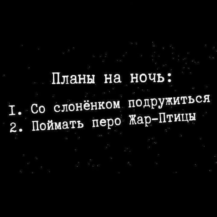 Планы на ночь 1 Со слонёнком подружиться 2 Поймать перо Жар Птицы