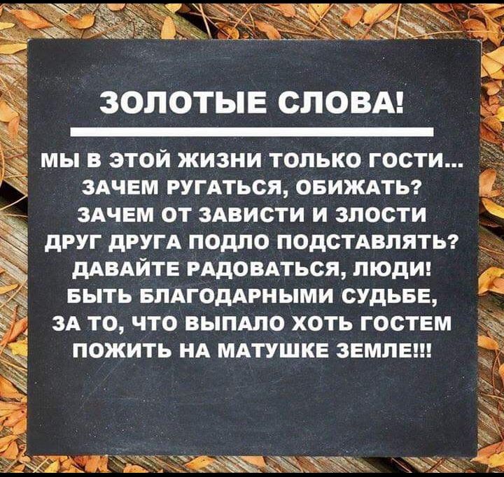 золотые СЛОВА 53 мы в этой жизни только гости здчем ругдться ОБИЖАТЬ Ё ЗАЧЕМ от ЗАВИСТИ и злости дРУГ дРУГА ПОДЛО ПОДСТАВЛЯТЬ дАВАЙТЕ РАДОВАТЬСЯ ЛЮДИ БЫТЬ БЛАГОДАРНЫМИ СУДЬБЕ Й ЗА ТО ЧТО ВЫПАЛО ХОТЬ ГОСТЕМ ПОЖИТЬ НА МАТУШКЕ ЗЕМЛЕ Как