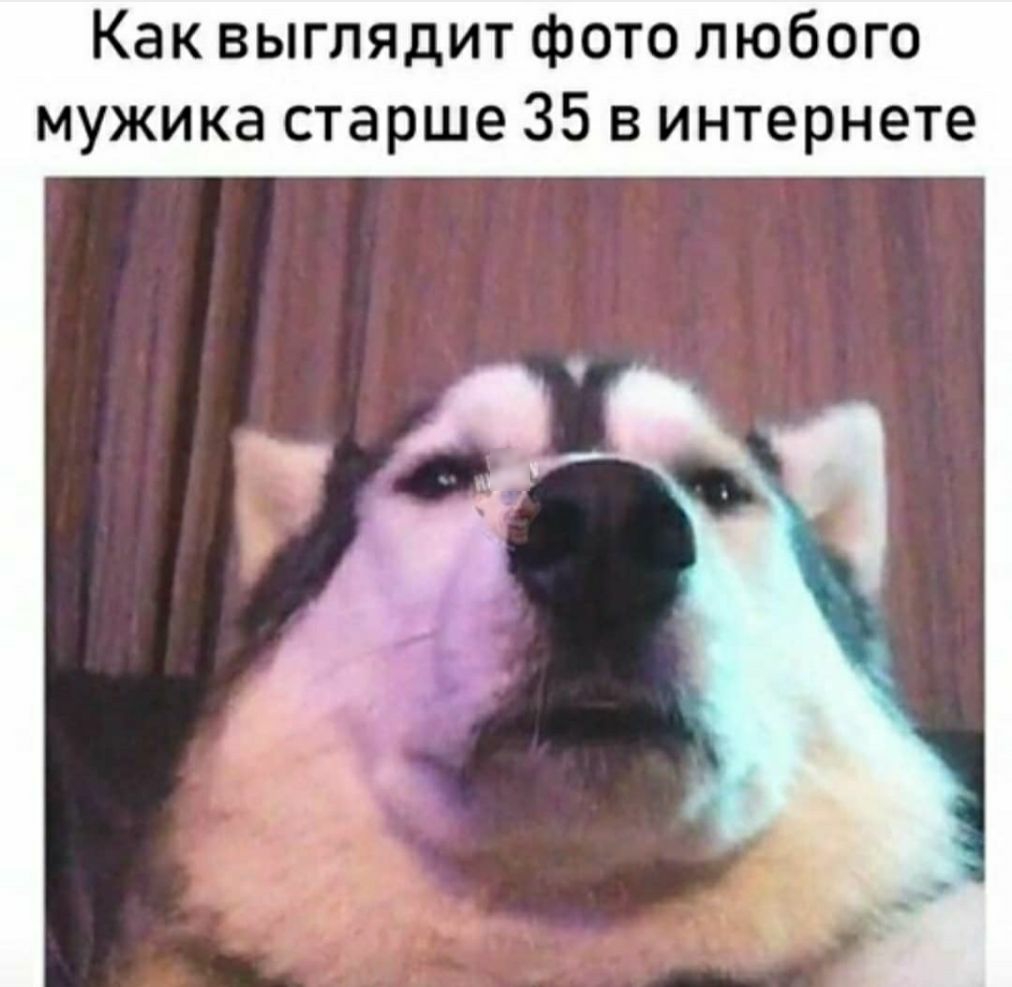Как выглядит фото любого мужика старше 35 в интернете