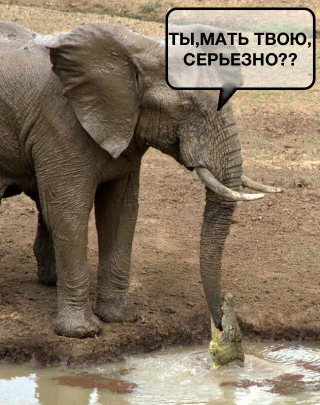 ТЬМАТЬ ТВО СЕРЬЕЗНО