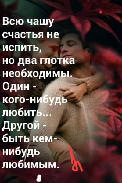 Всю чашу счастья не испить но два глотка необходи Один кого н _ любит быть кем ч _ нибудь любимым