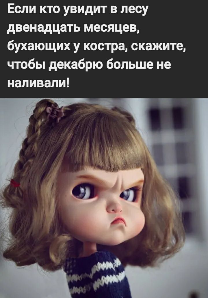 Если кто увидит в лесу двенадцать месяцев бухающих у костра скажите чтобы декабрю больше не наливали
