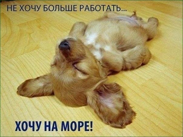хочу нд моры
