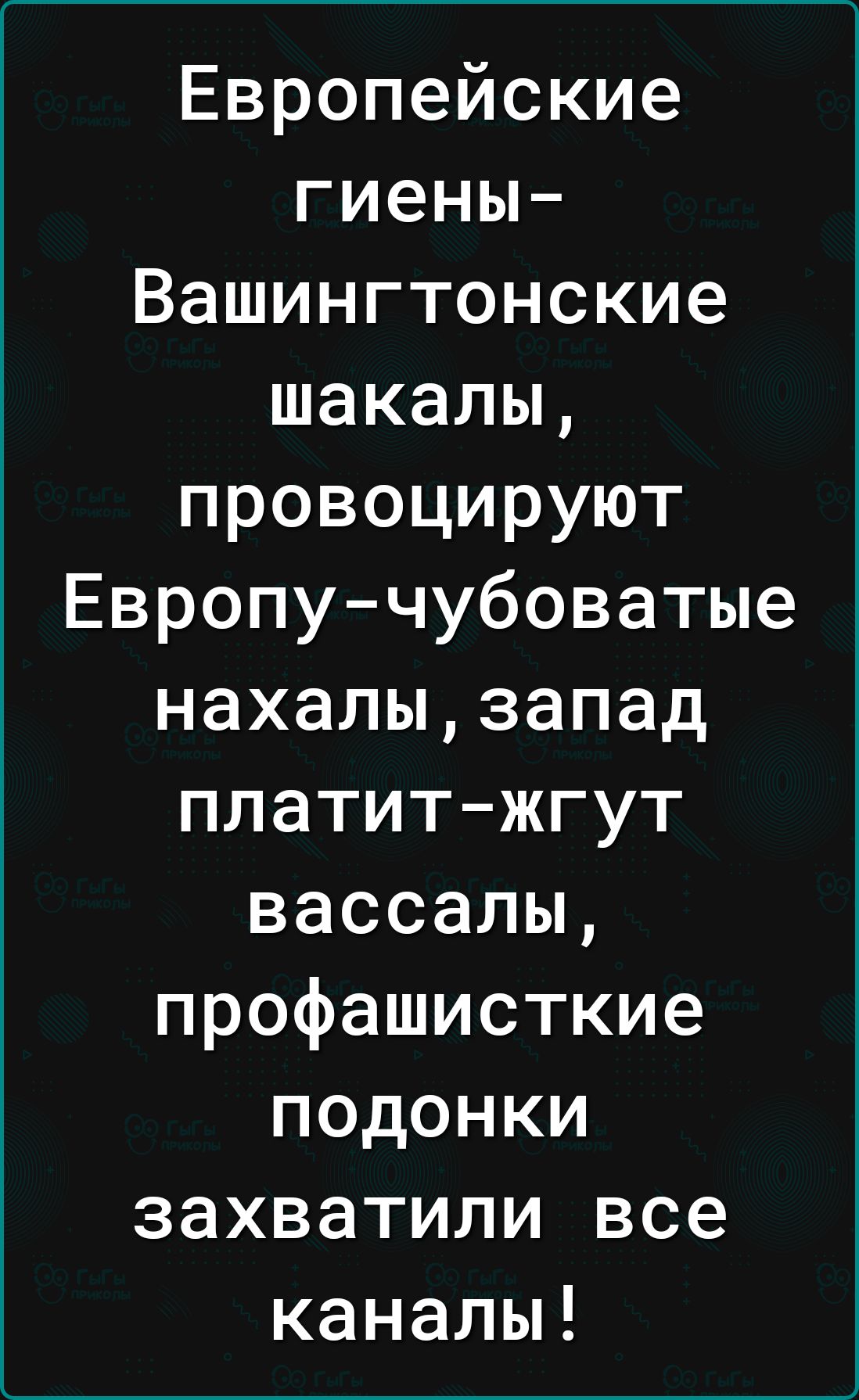 Европейские гиены Вашингтонские шакалы провоцируют Европу чубоватые нахалызапад платитжгут вассалы профашисткие подонки захватили все каналы