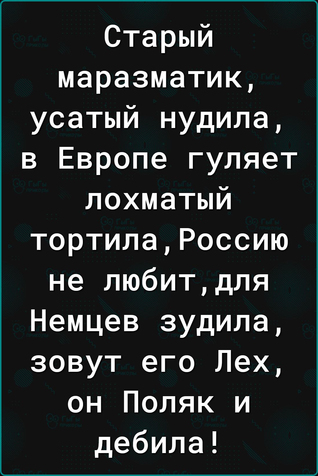 Старый маразматик усатый нудила в Европе гуляет лохматый тортилаРоссию не любитдля Немцев зудипа зовут его Лех он Поляк и дебила