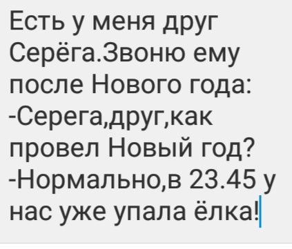Есть у меня друг Серёга3воню ему после Нового года СерегадРУгкак провел Новый год Нормальнов 2345 у нас уже упала ёлка